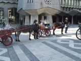 2008_costers 049.jpg